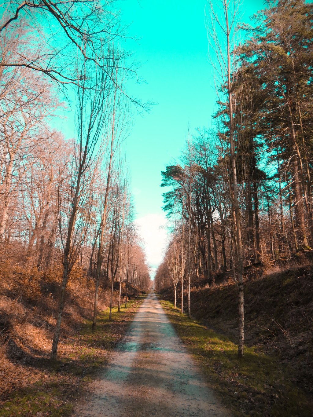 Reise in die&nbsp;Phantasie