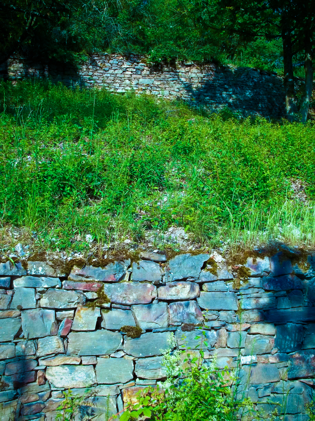 Eine Art von&nbsp;Blau