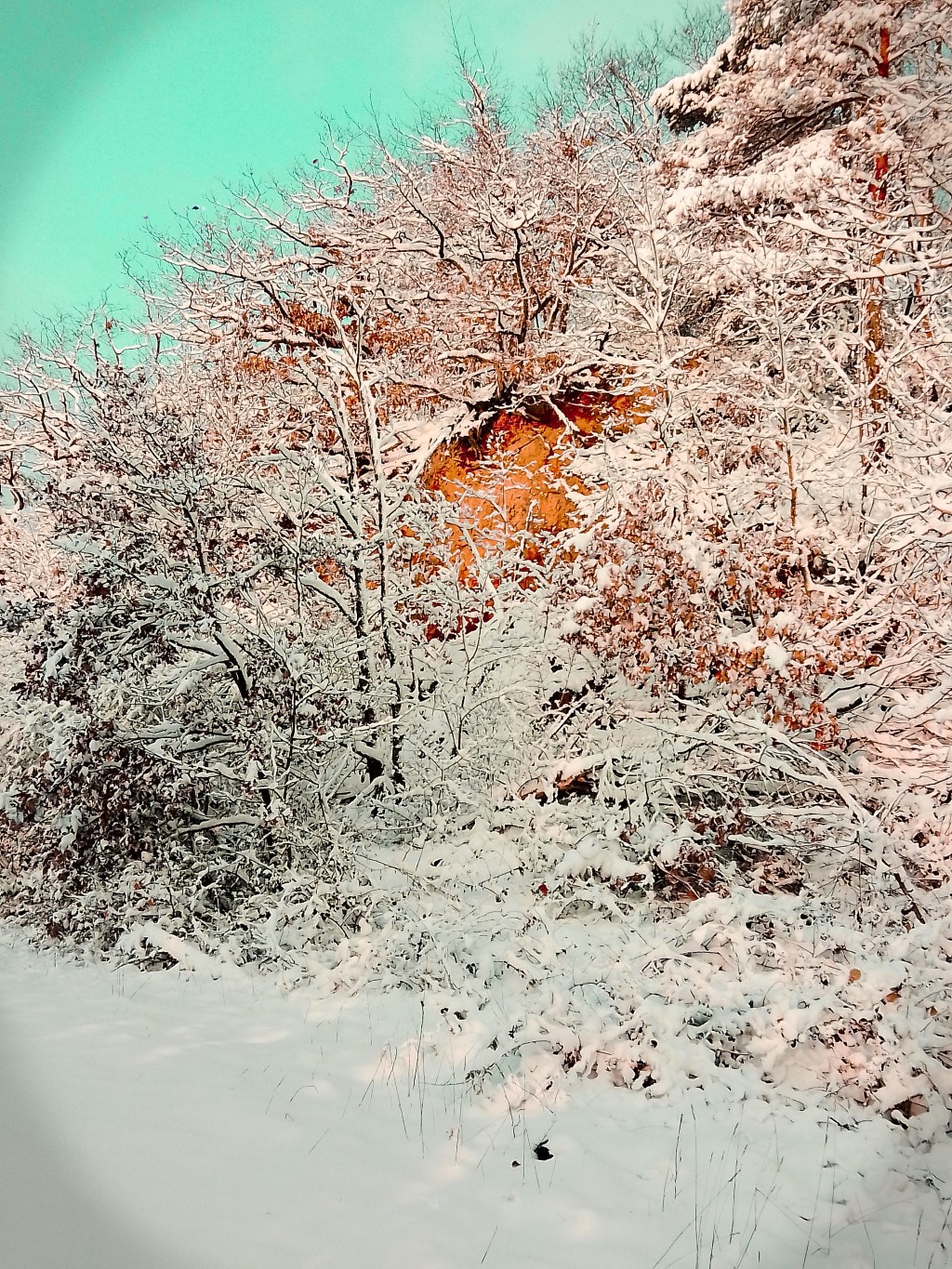 Der Weg nach&nbsp;innen