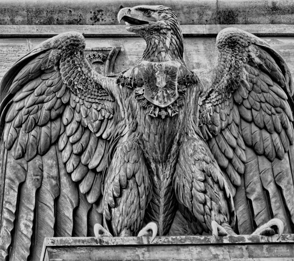 Der Blick des&nbsp;Adlers