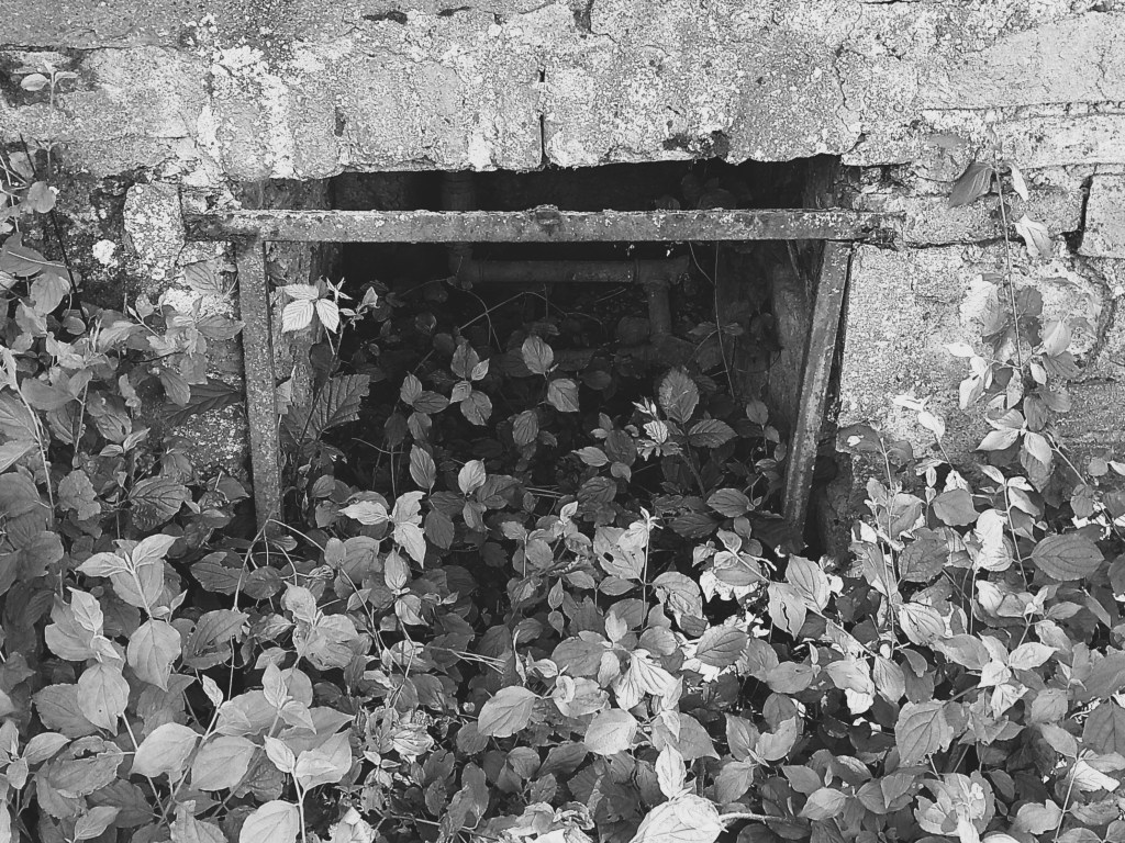 Vergangenheits-Verlust